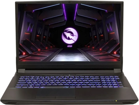 Ноутбук игровой HIPER G16, 16.1", IPS, Intel Core i5 10400 2.9ГГц, 6-ядерный, 16ГБ DDR4, 512ГБ SSD, NVIDIA GeForce RTX 3070 для ноутбуков - 8192 МБ, без операционной системы, черный [g16rtx3070a10400lx]