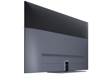 Loewe We. SEE 55 storm grey