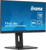 Монитор Iiyama 21.5" ProLite XUB2293HSU-B6 FHD IPS LED черный