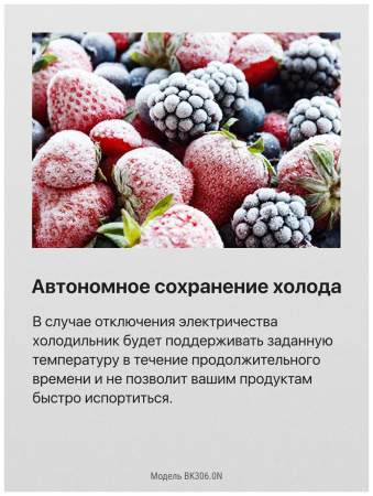 Встраиваемый холодильник Hansa BK306.0N