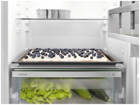 Встраиваемый холодильник Liebherr ICd 5103