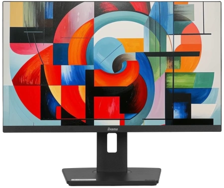 Монитор 23.8" Iiyama ProLite XUB2492HSU-B6 черный Монитор 23.8" Iiyama ProLite XUB2492HSU-B6 черный