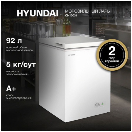 Морозильный ларь Hyundai CH10031