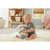 Игрушка для засыпания Fisher Price Выдра FXC66 Игрушка для засыпания Fisher Price Выдра FXC66