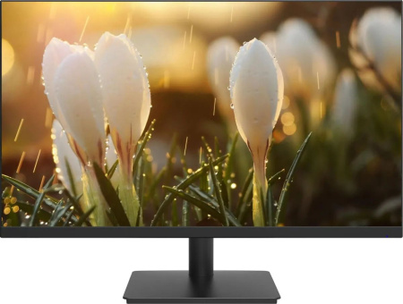 Монитор Dahua 23.8" DHI-LM24-A201A IPS LED FHD черный