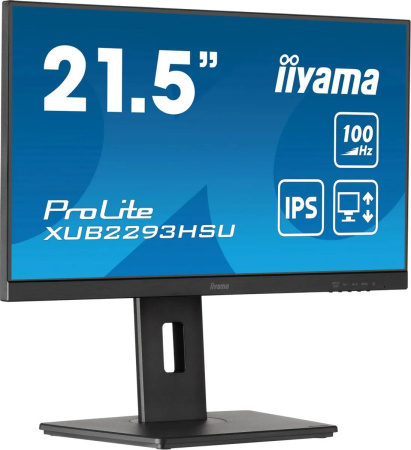 Монитор Iiyama 21.5" ProLite XUB2293HSU-B6 FHD IPS LED черный