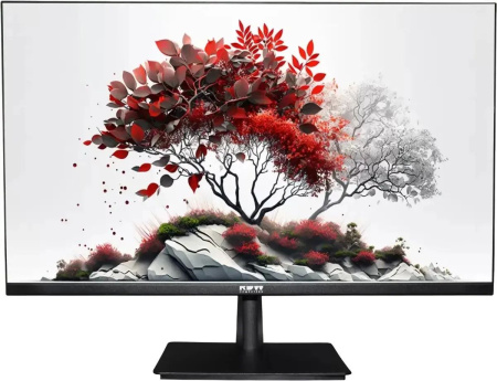 Монитор RDW Computers 27" RDW2701K/F00B0 черный IPS