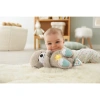 Игрушка для засыпания Fisher Price Выдра FXC66 Игрушка для засыпания Fisher Price Выдра FXC66