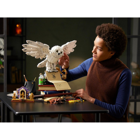 Конструктор LEGO Harry Potter Символы Хогвартса коллекционное издание 76391 Конструктор LEGO Harry Potter Символы Хогвартса коллекционное издание 76391
