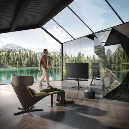 Loewe inspire 65 OLED basalt grey