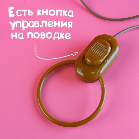 Интерактивный щенок «Мой друг с бантиком», ходит, лает, поёт песенку.